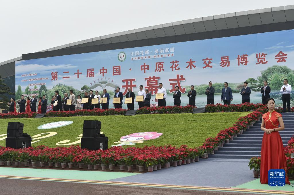 mg赌场网址